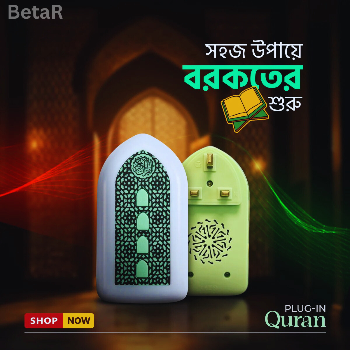 Plug in Quran